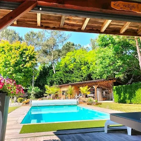 Entre Bordeaux Et Arcachon Salles (Gironde)